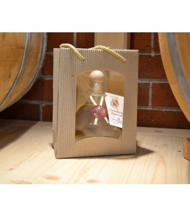 1er Wellpappegeschenktüte für Pomeranze